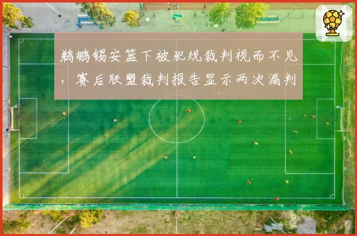 鹈鹕锡安篮下被犯规裁判视而不见,赛后联盟裁判报告显示两次漏判