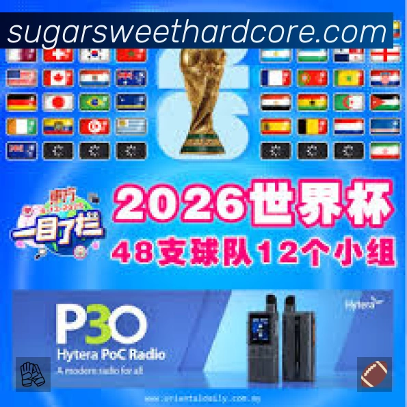 结构优化认证展示